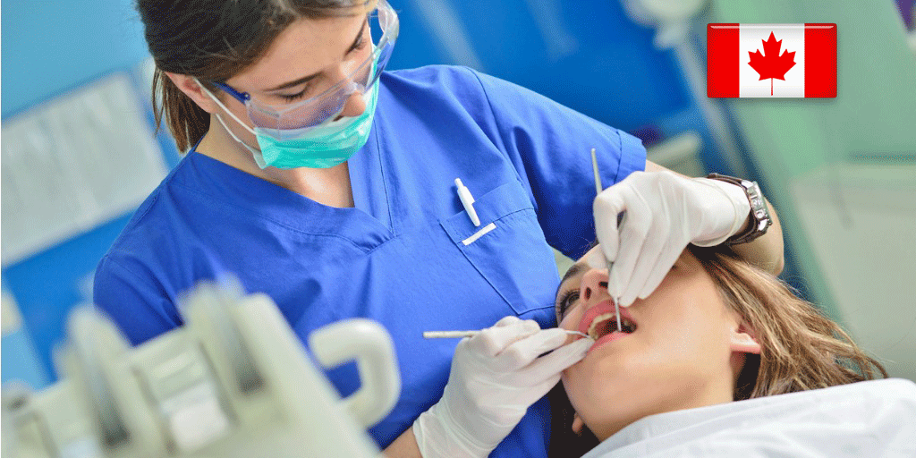 How to Migrate to Canada as a Dental Assistant